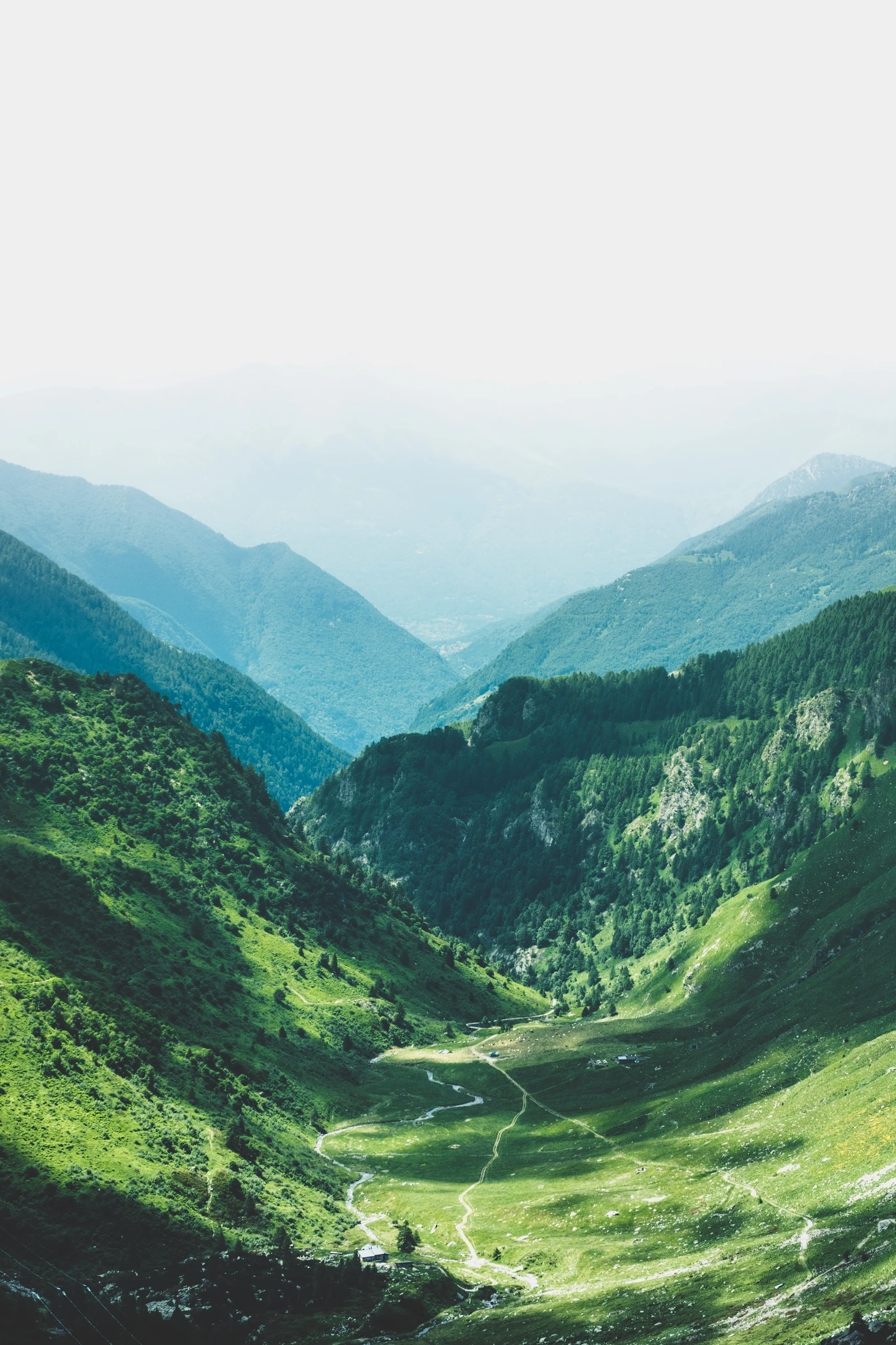 Forest-covered Himalayan mountains surrounding a quiet valley